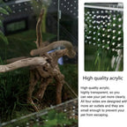 Acrylic Clear Reptile Habitat Enclosure