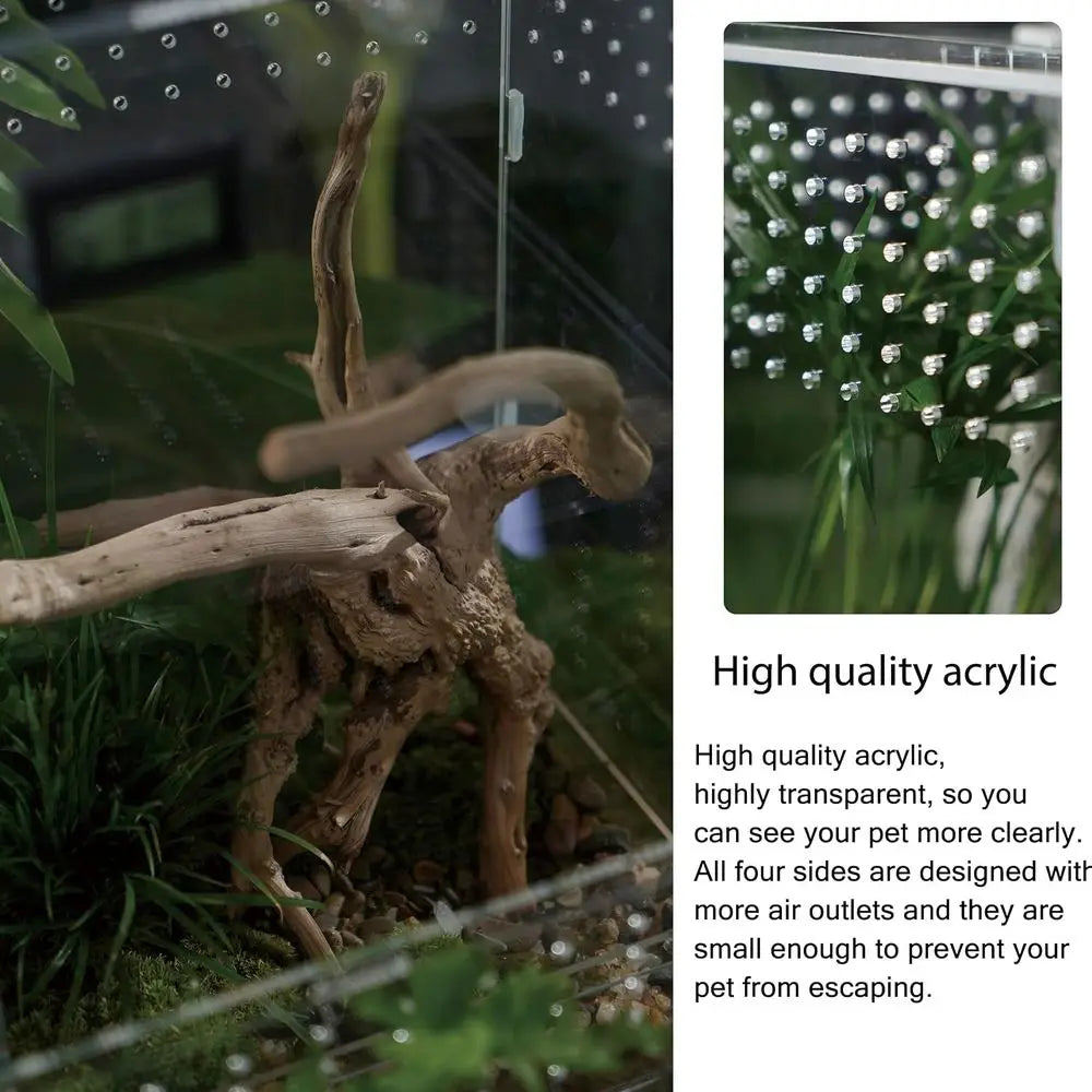 Acrylic Clear Reptile Habitat Enclosure
