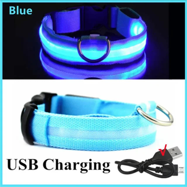 USB Charging LED Dog Collar