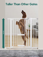 Extra Tall Baby Gate/Cat Door