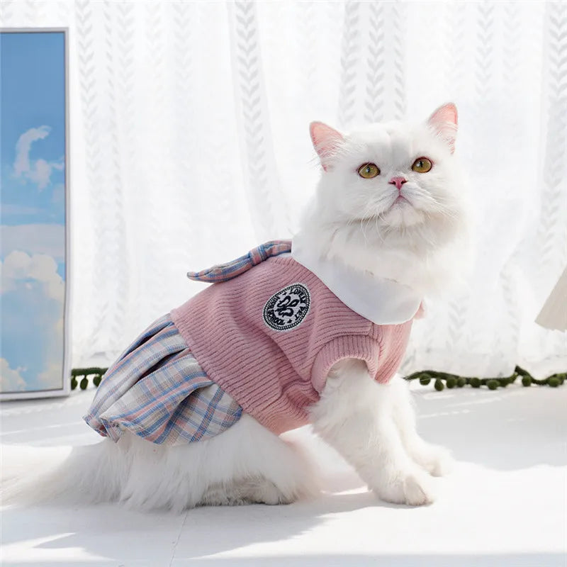 College Style Dog Dress