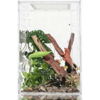 Reptile Tank