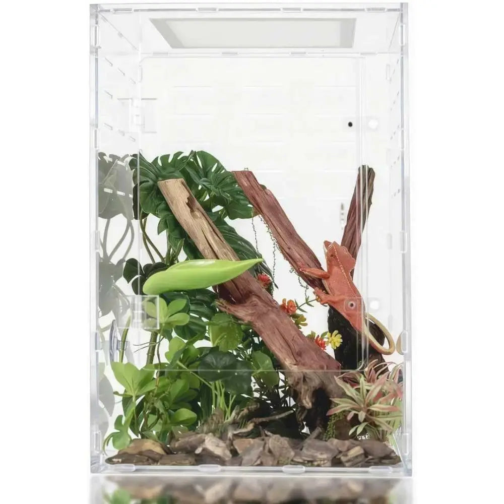 Reptile Tank