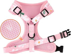 Cute Harness & Leash Set