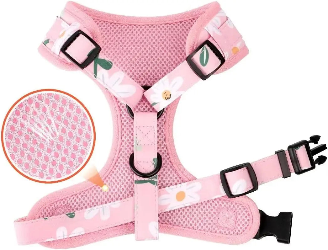 Cute Harness & Leash Set
