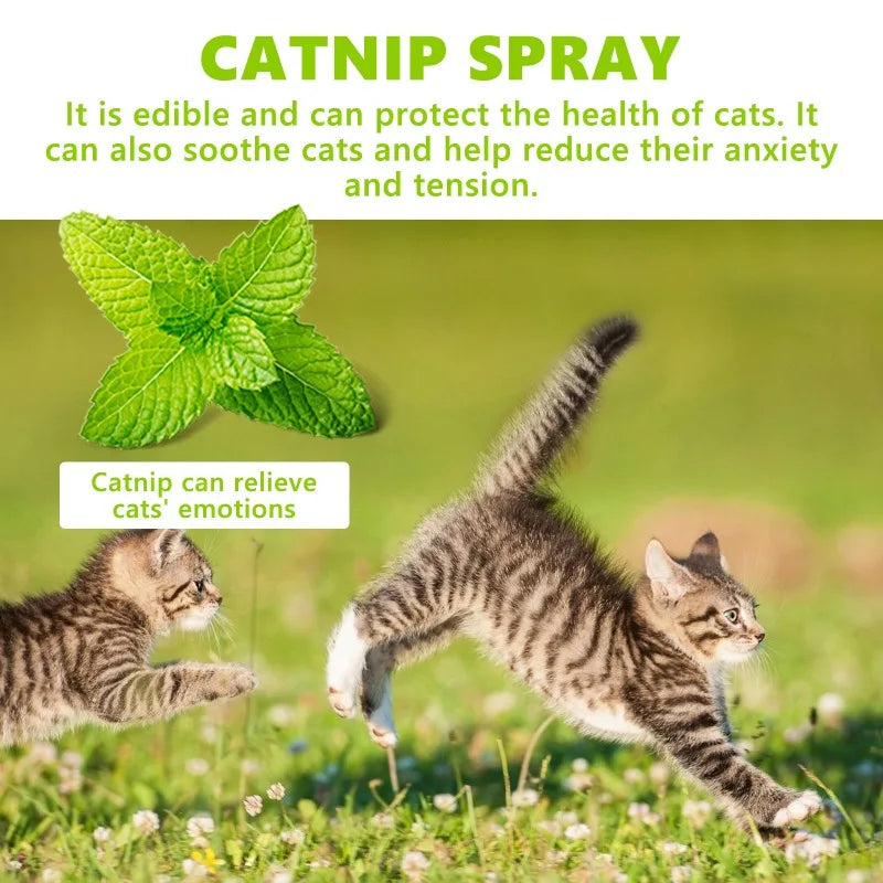 Catnip Spray Relieves Anxious Moods