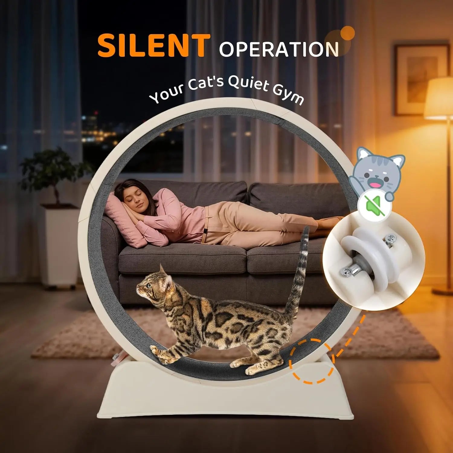 Cat Exercise Wheel, Treadmill