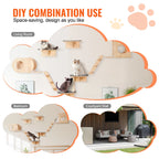 Wall Mounted Cat Shelves