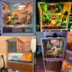 Compact 2x2x2' Reptile Home