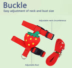 Rabbit/Cat Harness/Leash Set