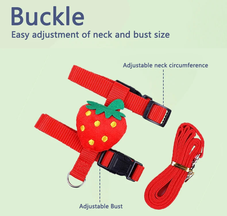 Rabbit/Cat Harness/Leash Set