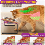 Elevated Cat Bowls Set of 2