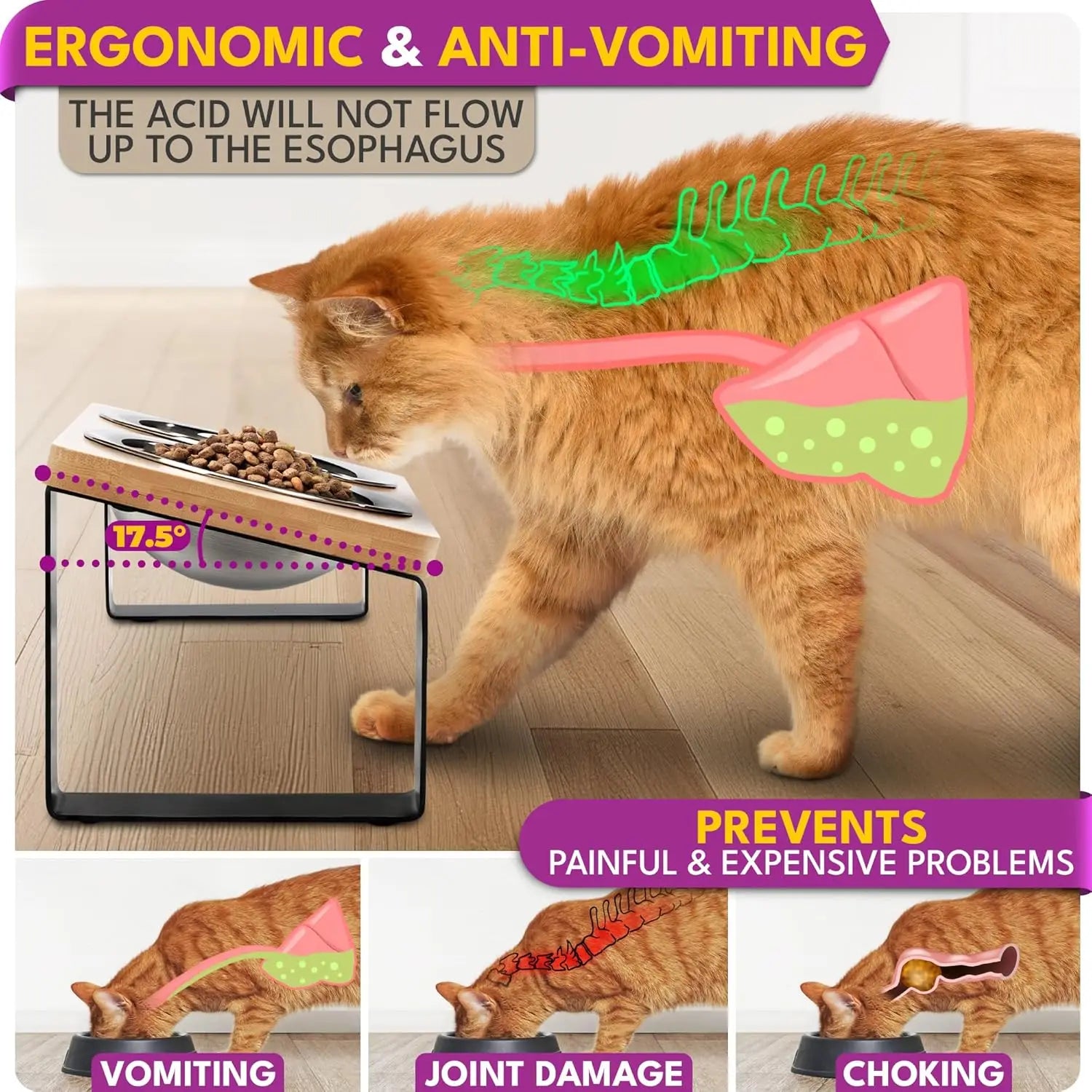 Elevated Cat Bowls Set of 2