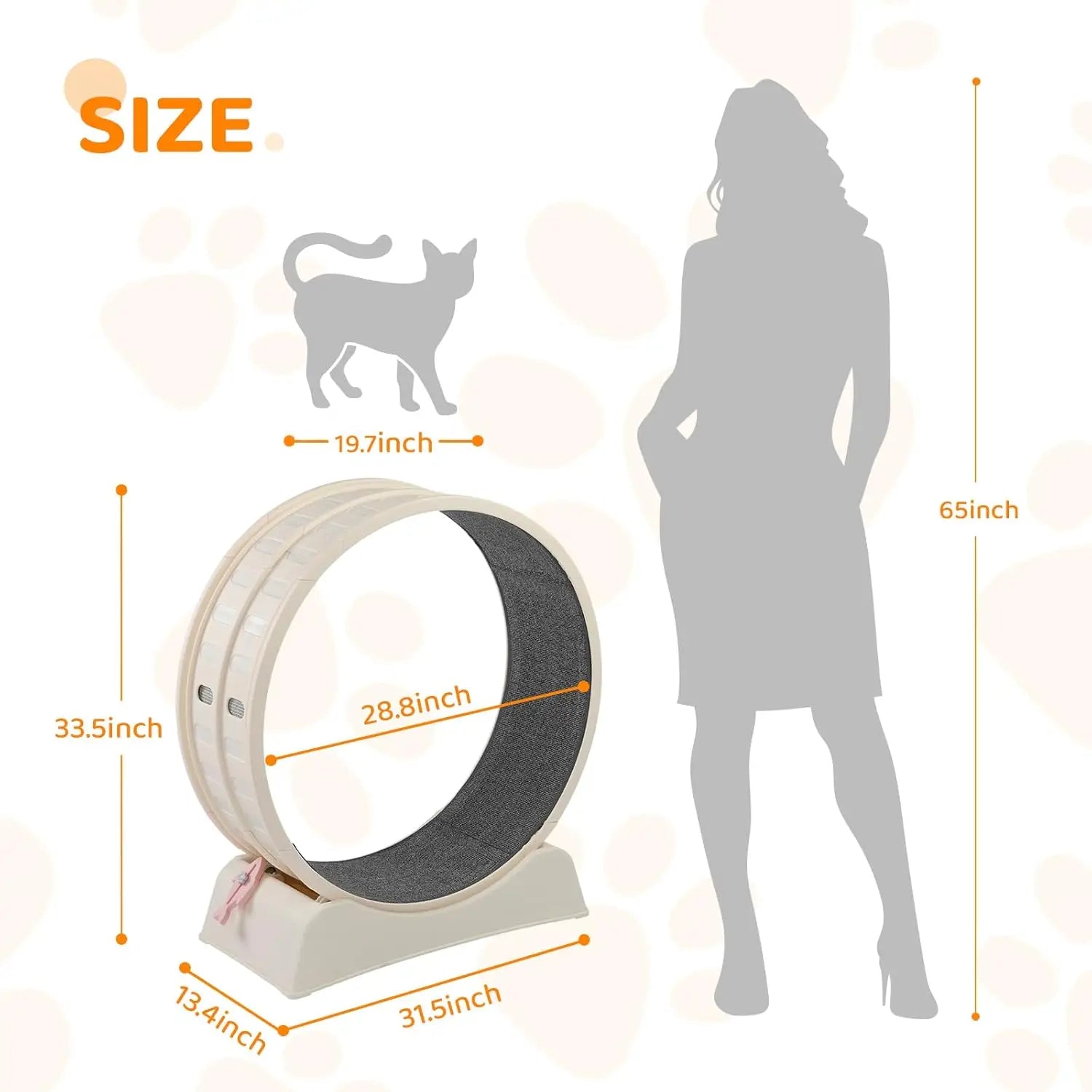 Cat Exercise Wheel, Treadmill