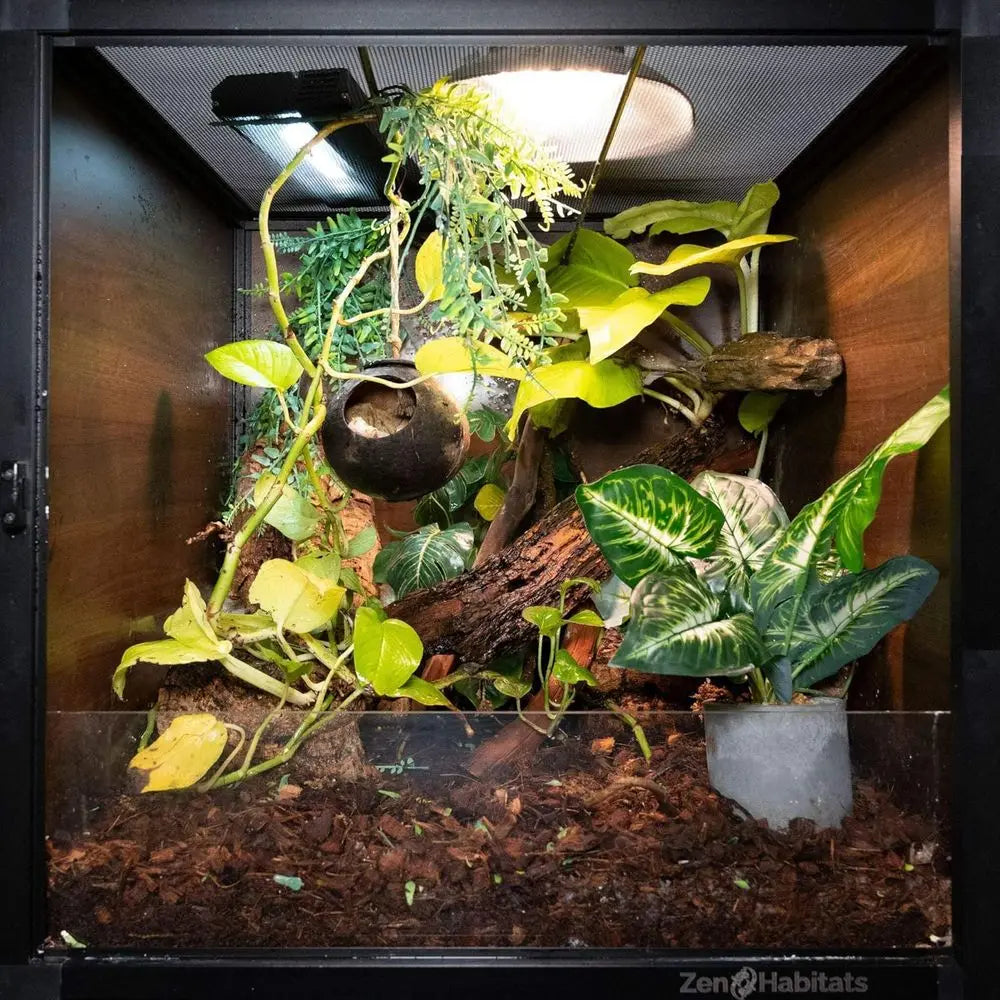 Compact 2x2x2' Reptile Home