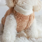 Winter Warm Puppy Kitten Pullover