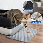 Cat Litter Box with Lid