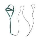 Bird Harness/Leash Activities