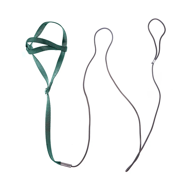 Bird Harness/Leash Activities