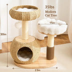 Luxury Solid Wood Cat Tower