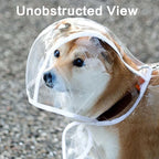 Pet Raincoat Windproof Clothing