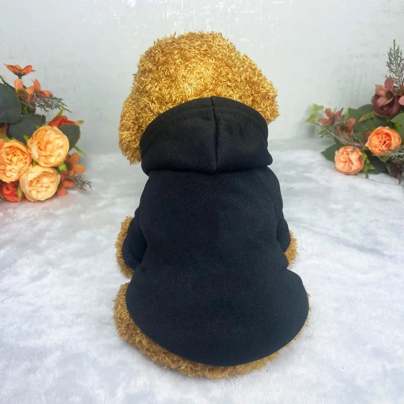 Winter Dog Clothes