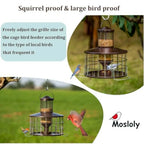 Squirrel Proof Bird Feeders