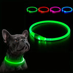 Dog LED Light Collar