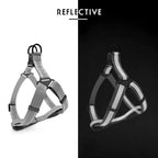 Adjustable Dog Y Harness S/M/L