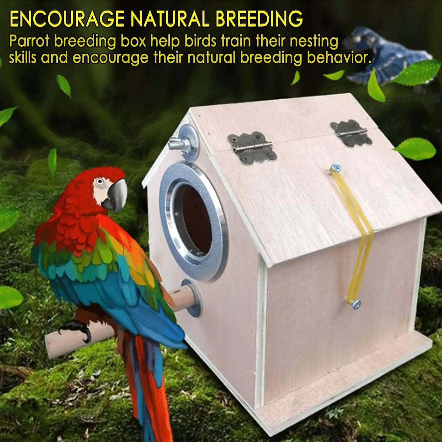 Parrot Nesting Box