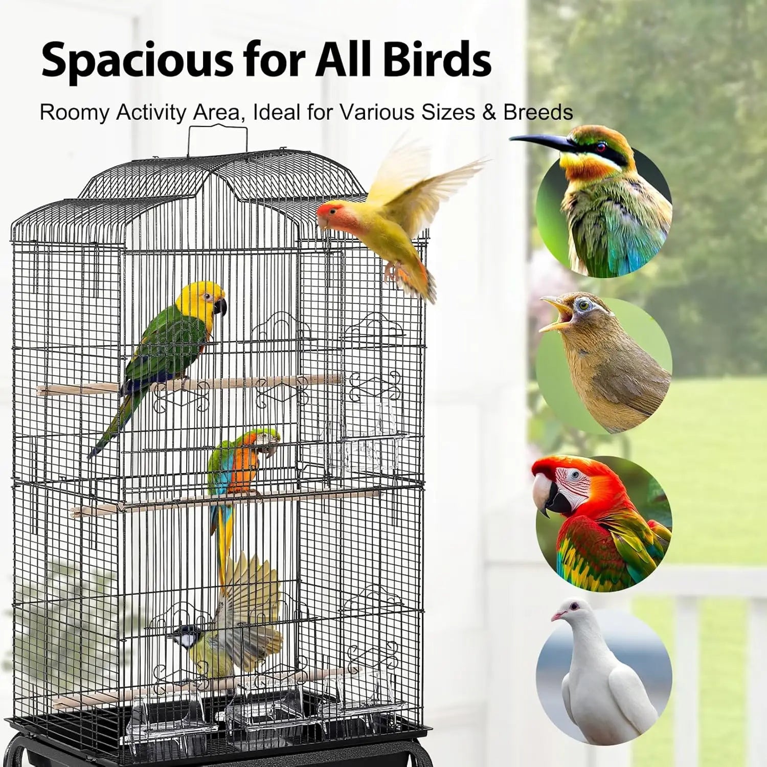 Multi-Level Parrot Habitat