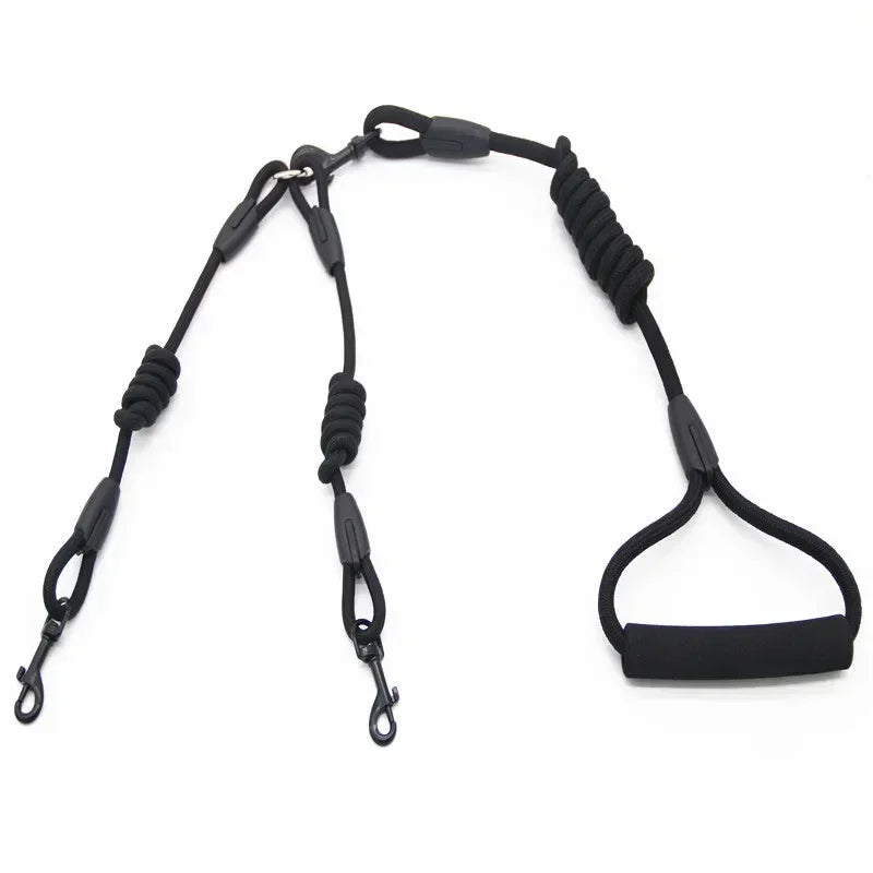 Leashes for 2 smaller Dogs