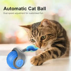 Cat Interactive Ball Toys