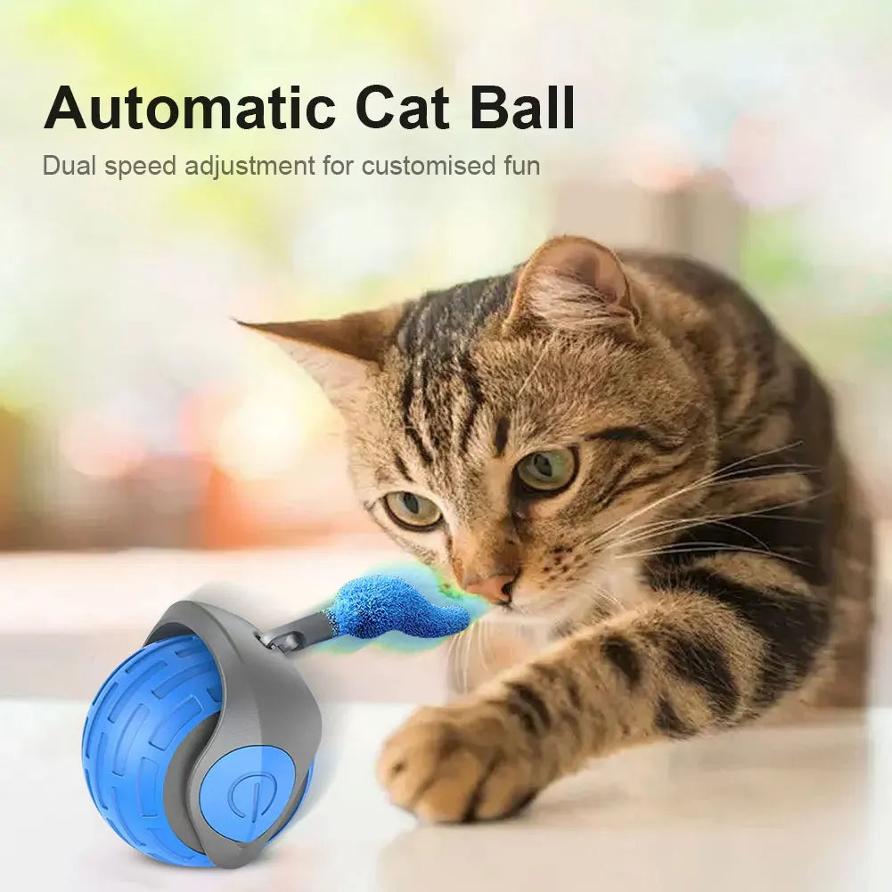 Cat Interactive Ball Toys