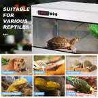 Reptile Enclosure