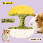 Apple Core Shaped Hamster Chew Toy