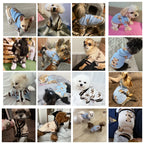 Luxury Dog Clothes Striped Cardigan