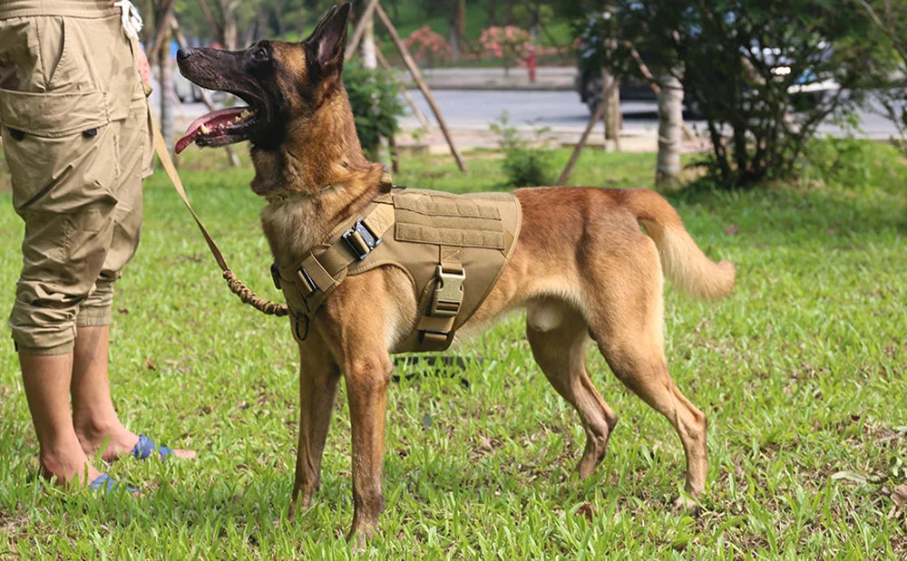 Military Dog Harnesses Tactical Vest