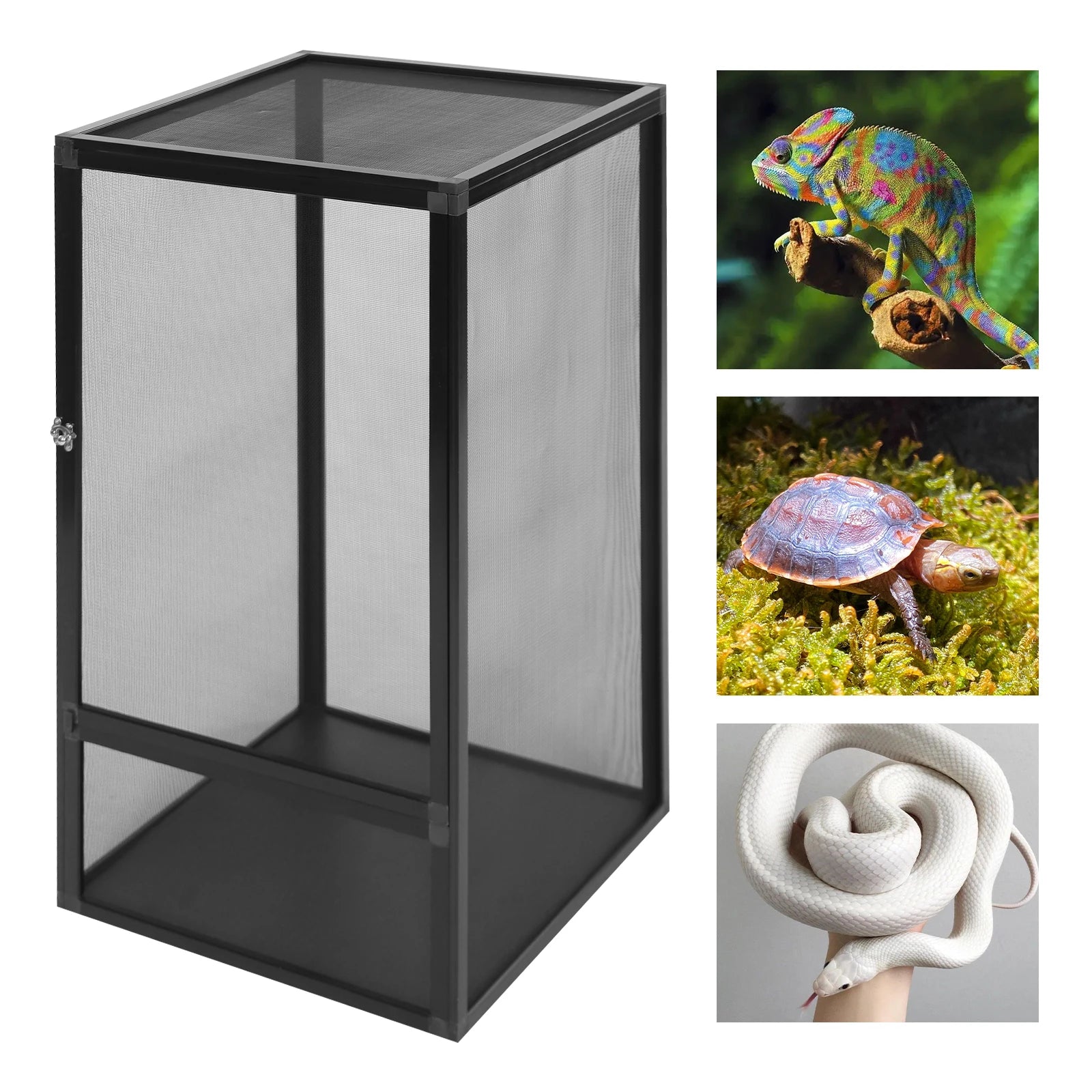 Reptile Feeding Box