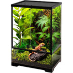Glass Terrarium Tank