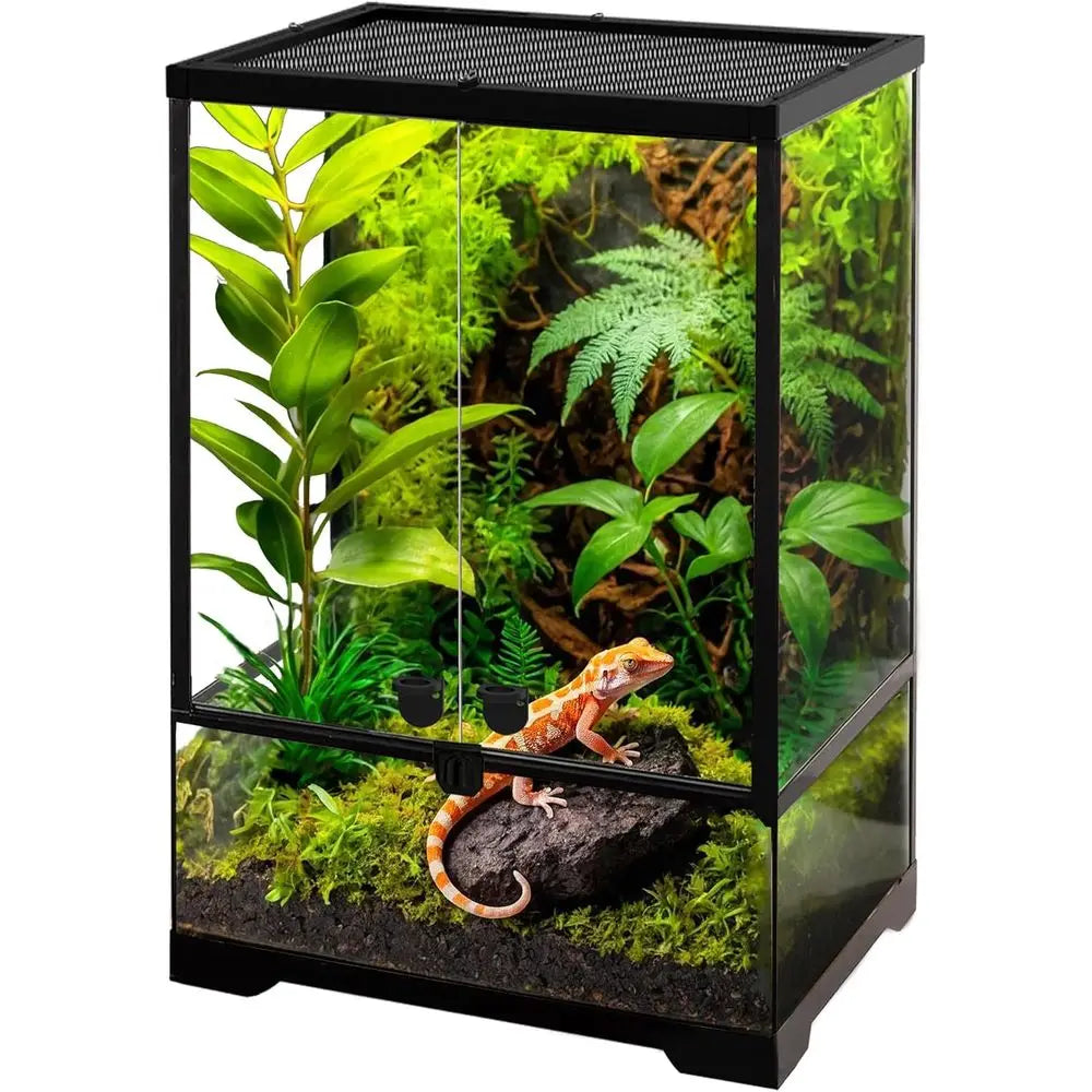 Glass Terrarium Tank