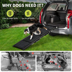 Folding Dog Ramp For Car