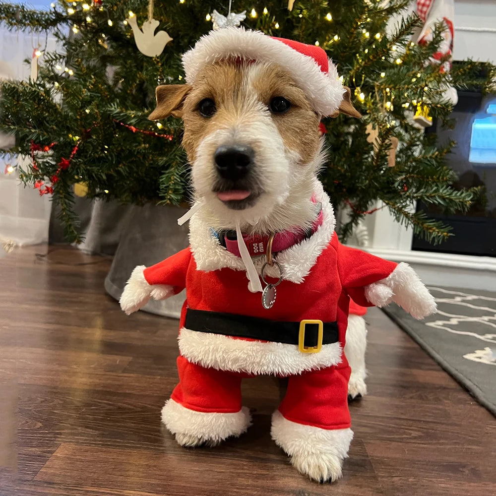 Christmas Dog Costume
