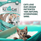 Cat Litter for Urine Collection