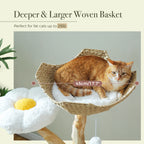 Solid Wood Cat Tree