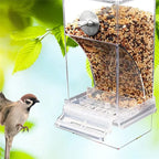 No Mess Bird Feeders