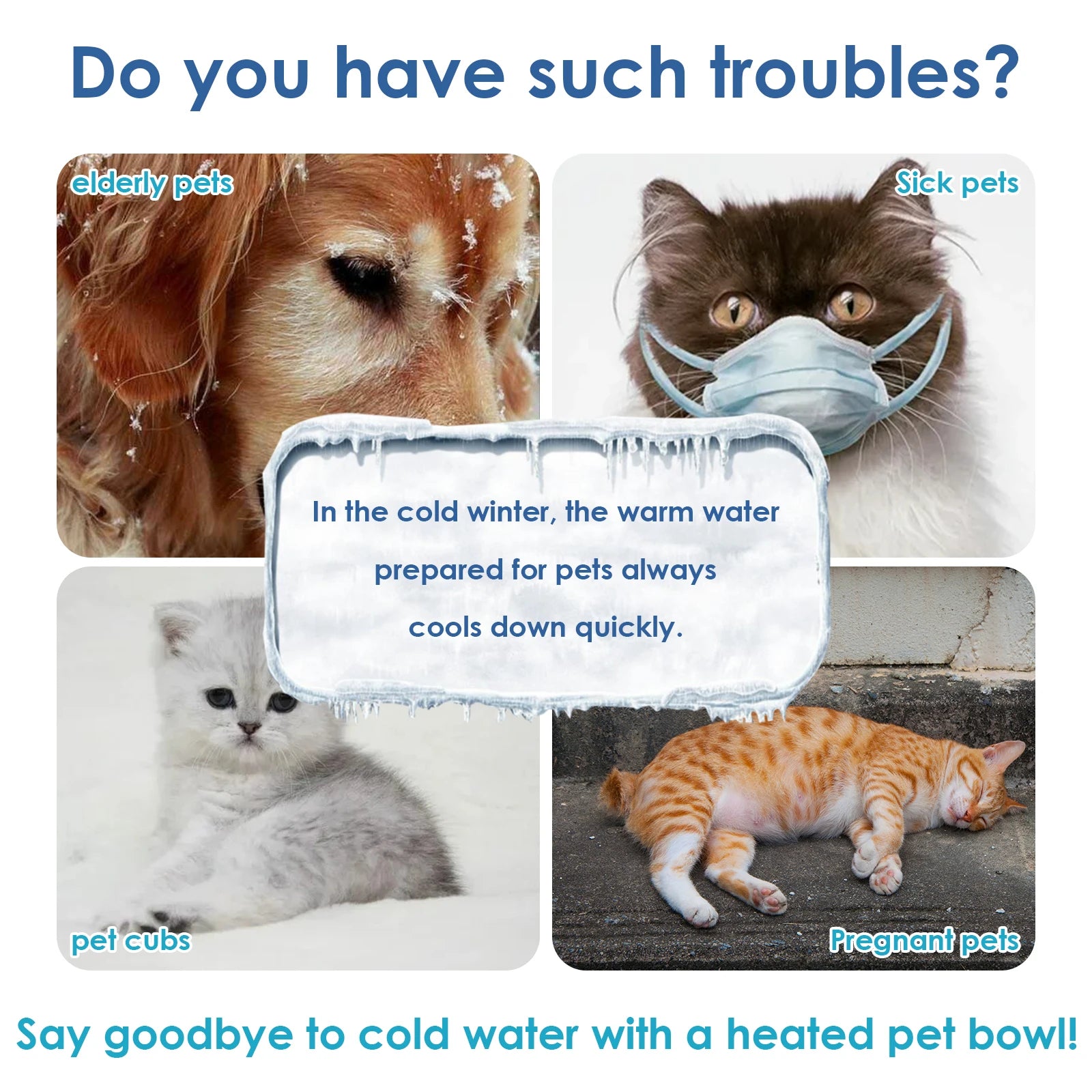 3.2L Heated Dog Heated Water Bowl