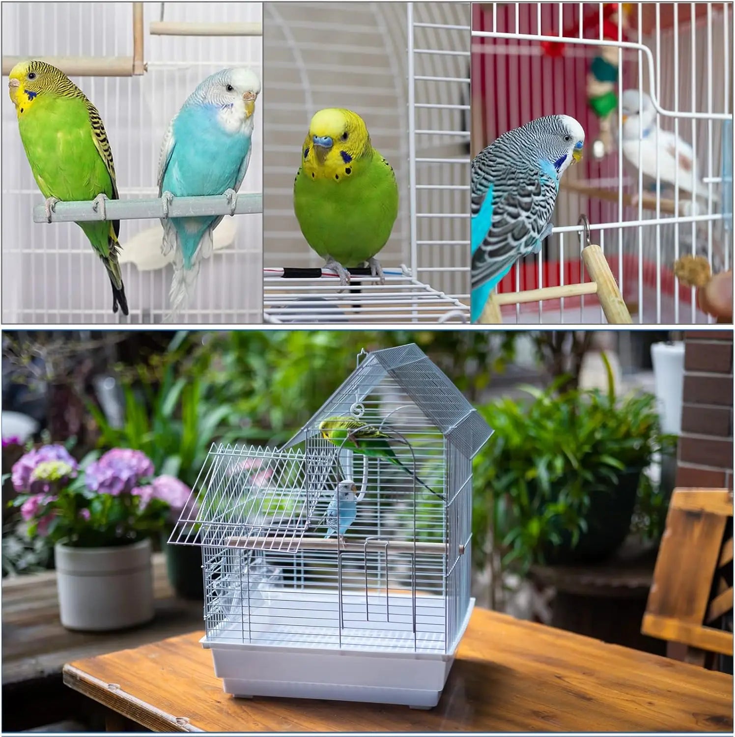 Small Bird Travel Cage