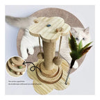 Cat Scratcher
