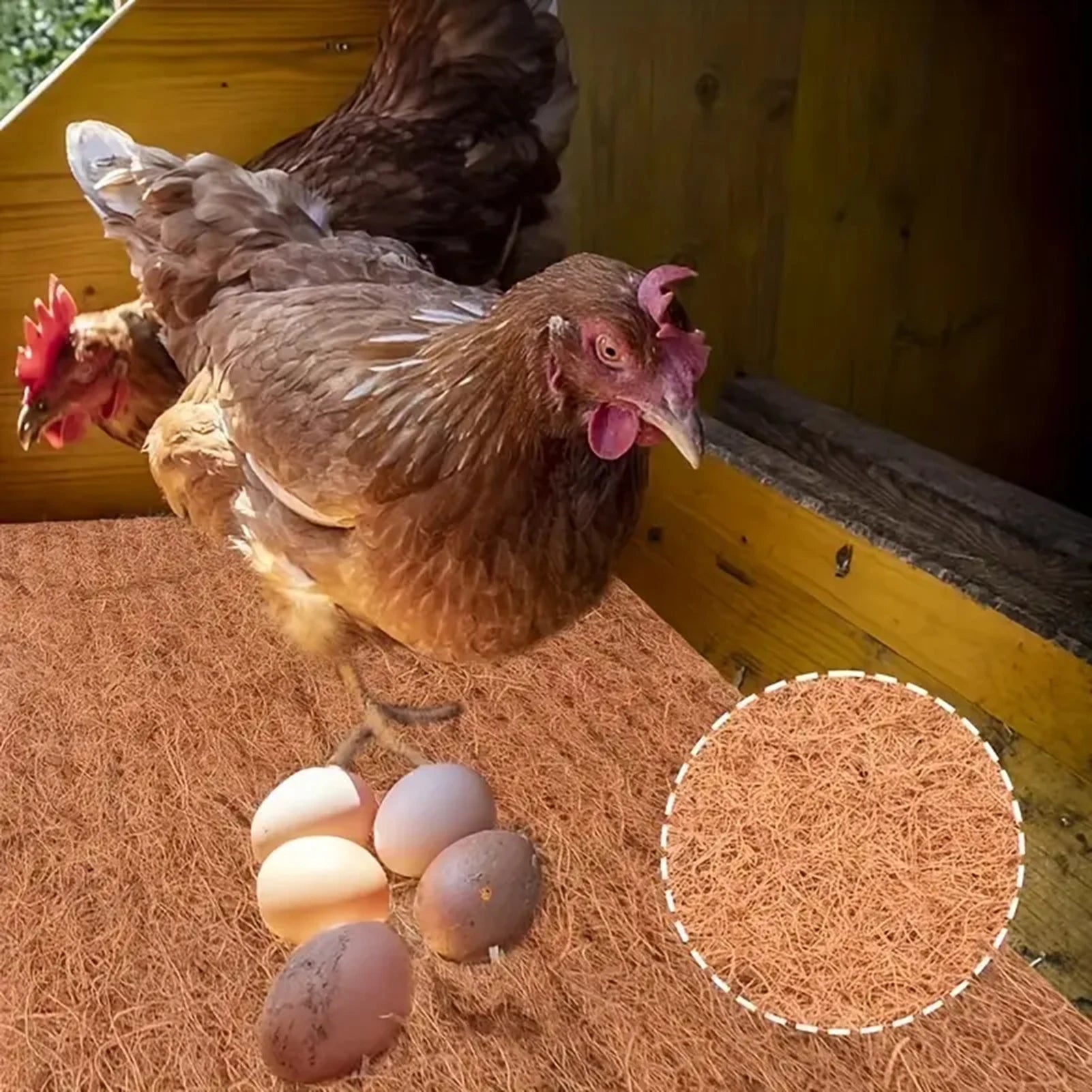 Coconut Fiber Breeding Eggs Mat
